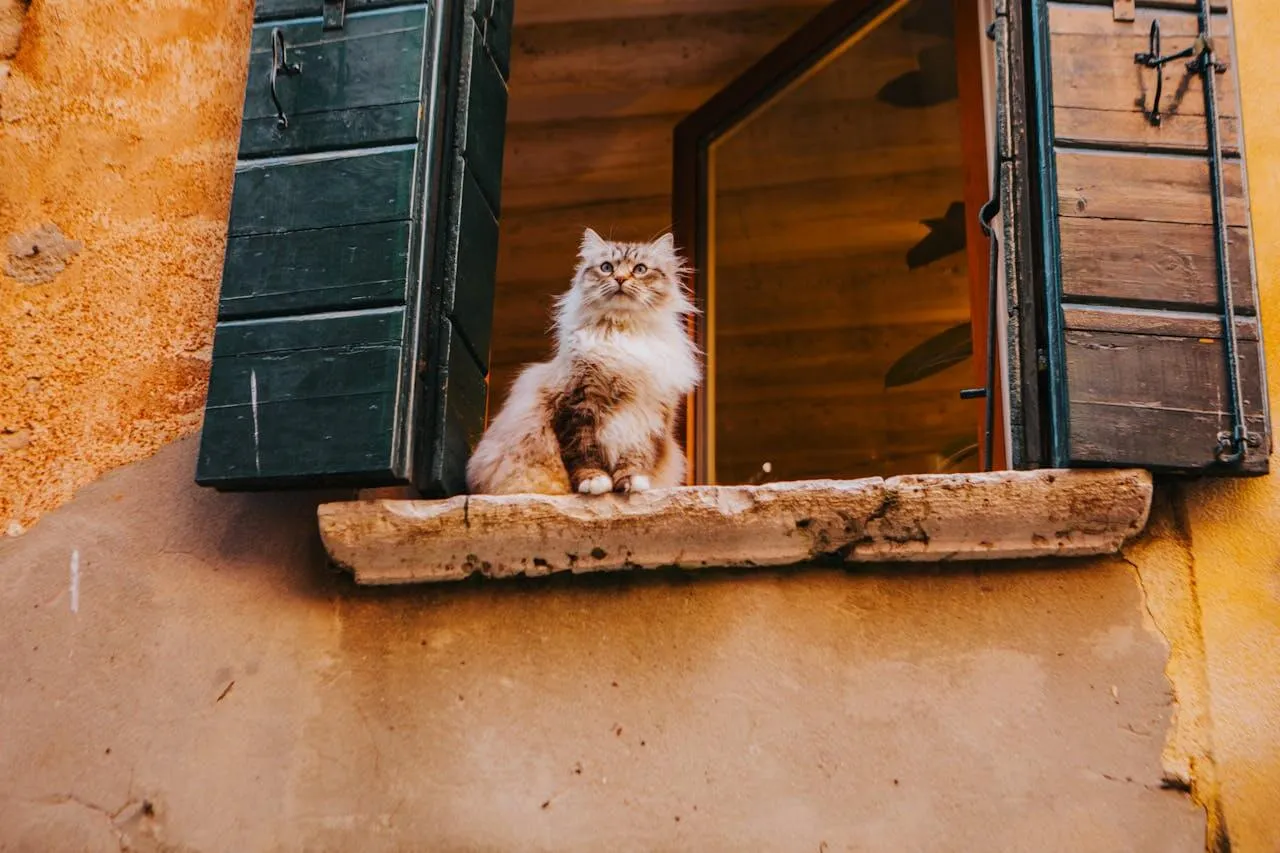 Discover Ligurian, a unique language spoken in Liguria, Monaco, and all around the the world