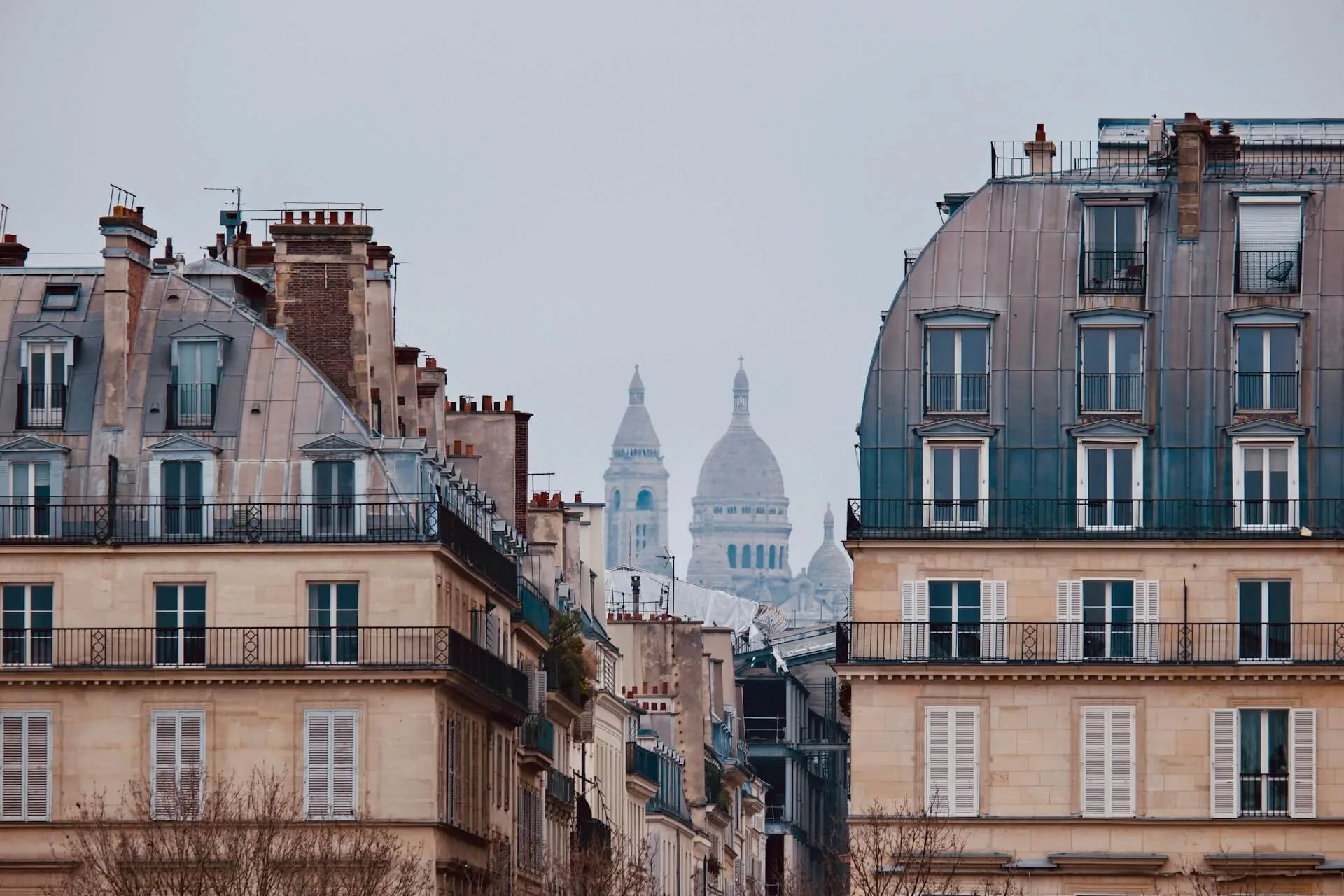 Some Parisian roofs with Montmartre on the background