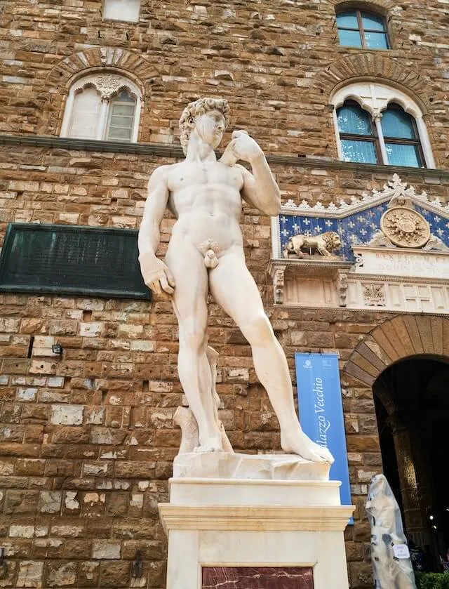 The David of Michelangelo in Florence