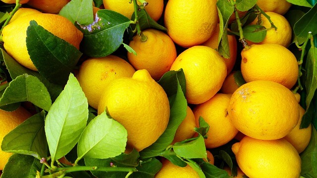 A market with fruits and vegetables