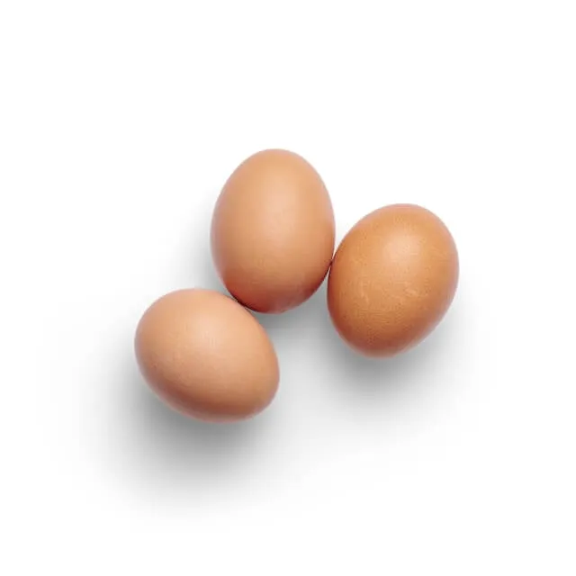 Egg