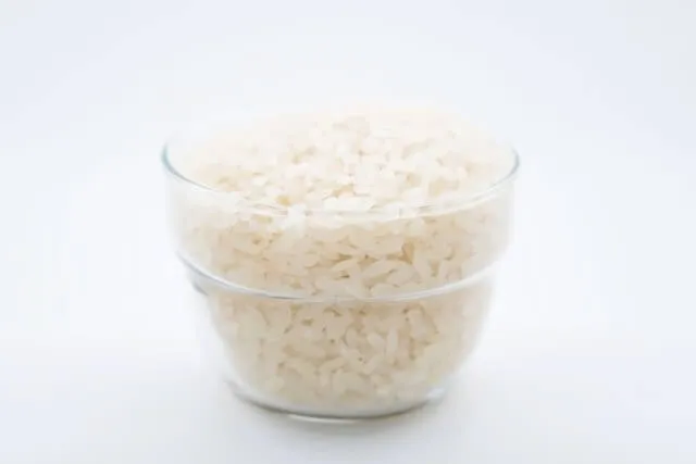 Rice