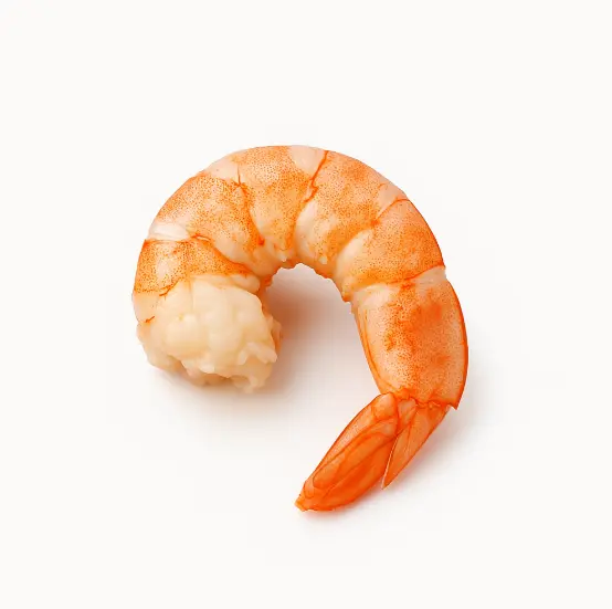 Shrimp